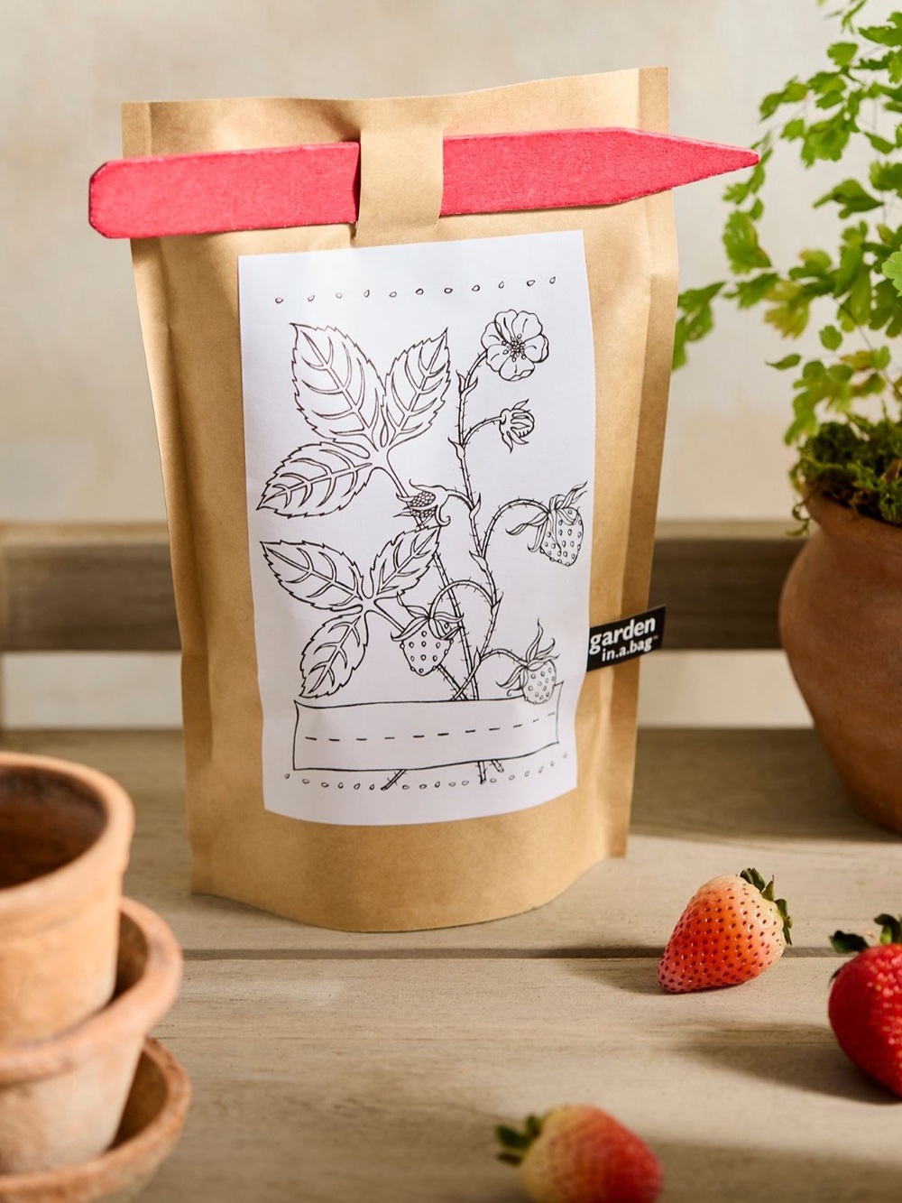 Potting Shed Kids Garden in a Bag Alpine Strawberry Grow Kit New